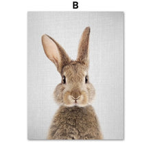 Load image into Gallery viewer, Alpaca Fox Bear Giraffe Wall Art Canvas Painting Nordic Posters And Print Animal Wall Pictures Kids Baby Room Scandinavian Decor