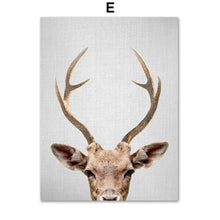 Load image into Gallery viewer, Lion Deer Raccoon Rabbit Wall Art Canvas Painting Nordic Poster And Print Animal Wall Pictures Kids Baby Room Scandinavian Decor