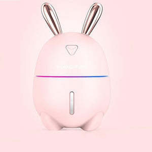 saengQ 300ML Ultrasonic Air Humidifier Essential Oil Diffuser With  Electric Aromatherapy USB Humidifier Car Aroma Diffuser