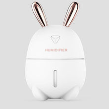 Load image into Gallery viewer, saengQ 300ML Ultrasonic Air Humidifier Essential Oil Diffuser With  Electric Aromatherapy USB Humidifier Car Aroma Diffuser