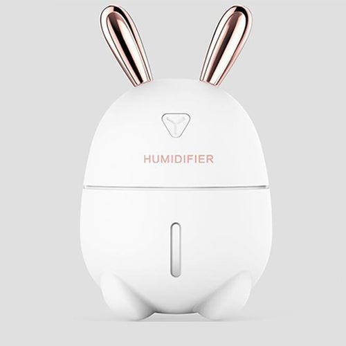 saengQ 300ML Ultrasonic Air Humidifier Essential Oil Diffuser With  Electric Aromatherapy USB Humidifier Car Aroma Diffuser