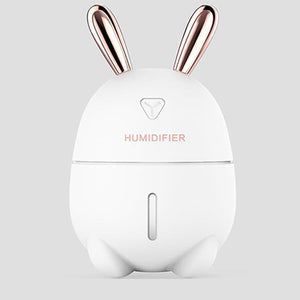 saengQ 300ML Ultrasonic Air Humidifier Essential Oil Diffuser With  Electric Aromatherapy USB Humidifier Car Aroma Diffuser